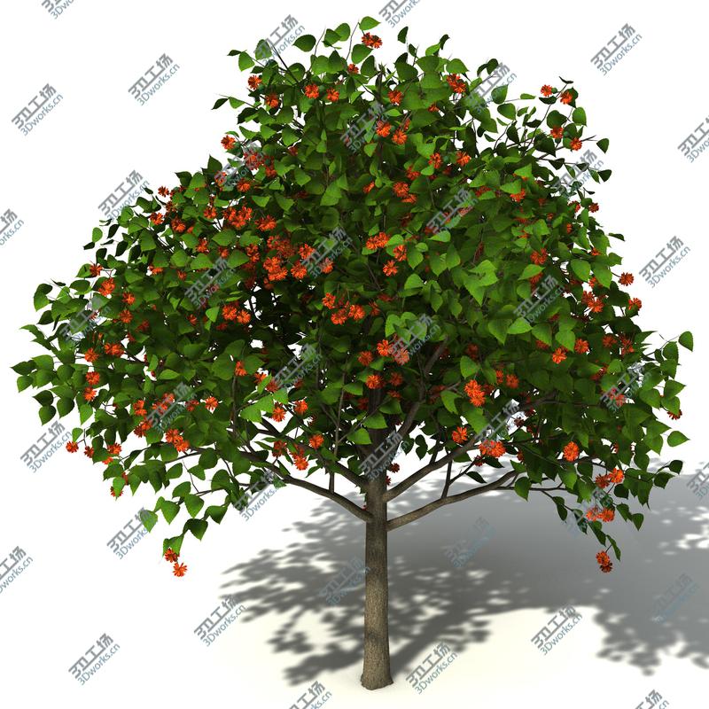 images/goods_img/2021040165/XfrogPlants Oceania 1/4.jpg